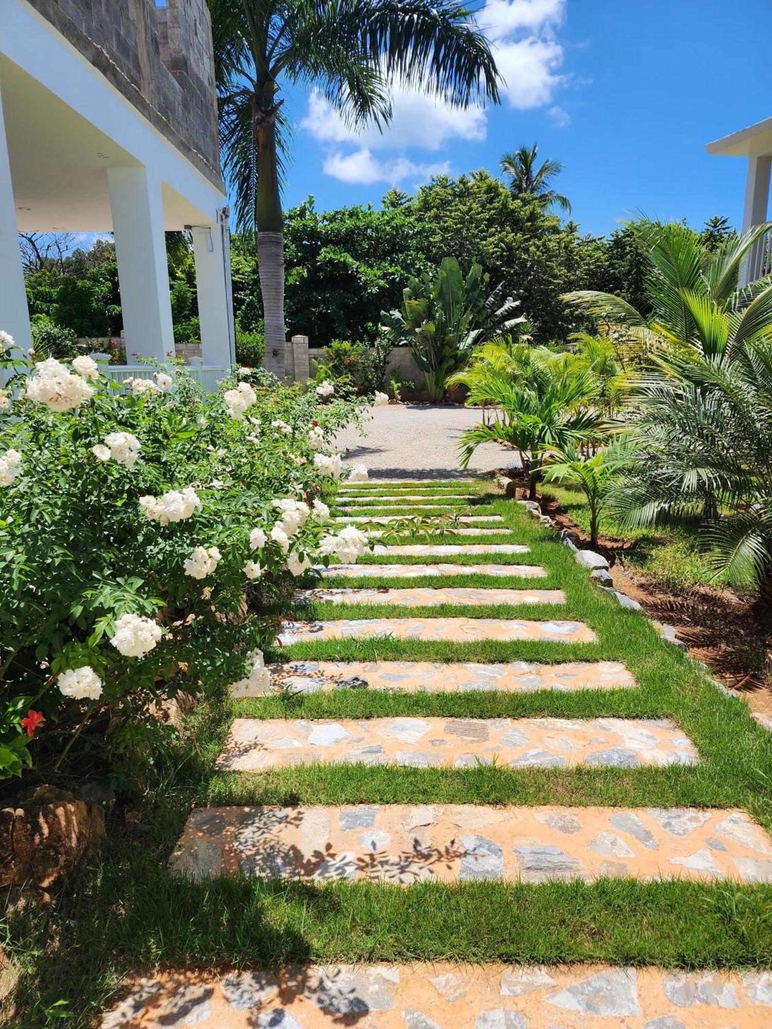 Bella Villa Room With Large Pool And Close To Beach Las Galeras Zewnętrze zdjęcie